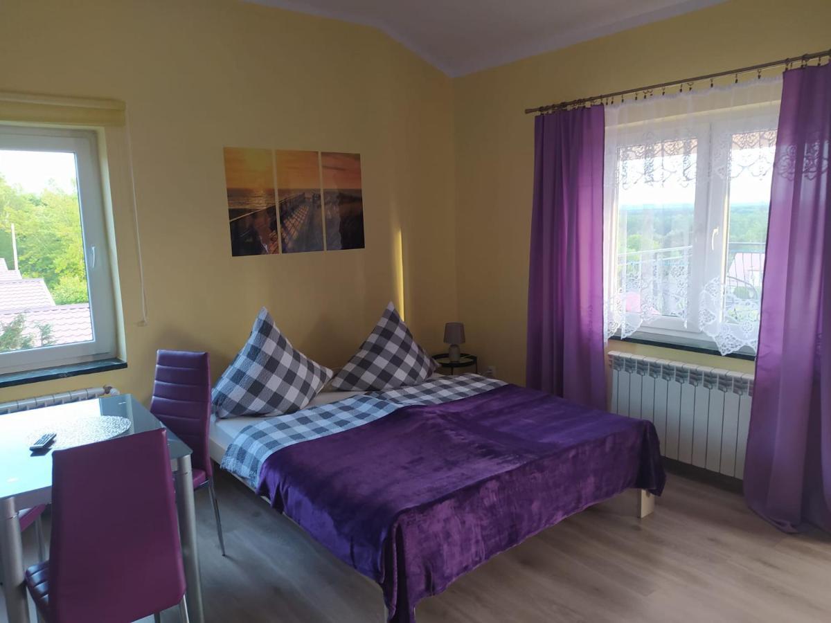 Mocik Apartment Jastrzebia Gora Exterior photo